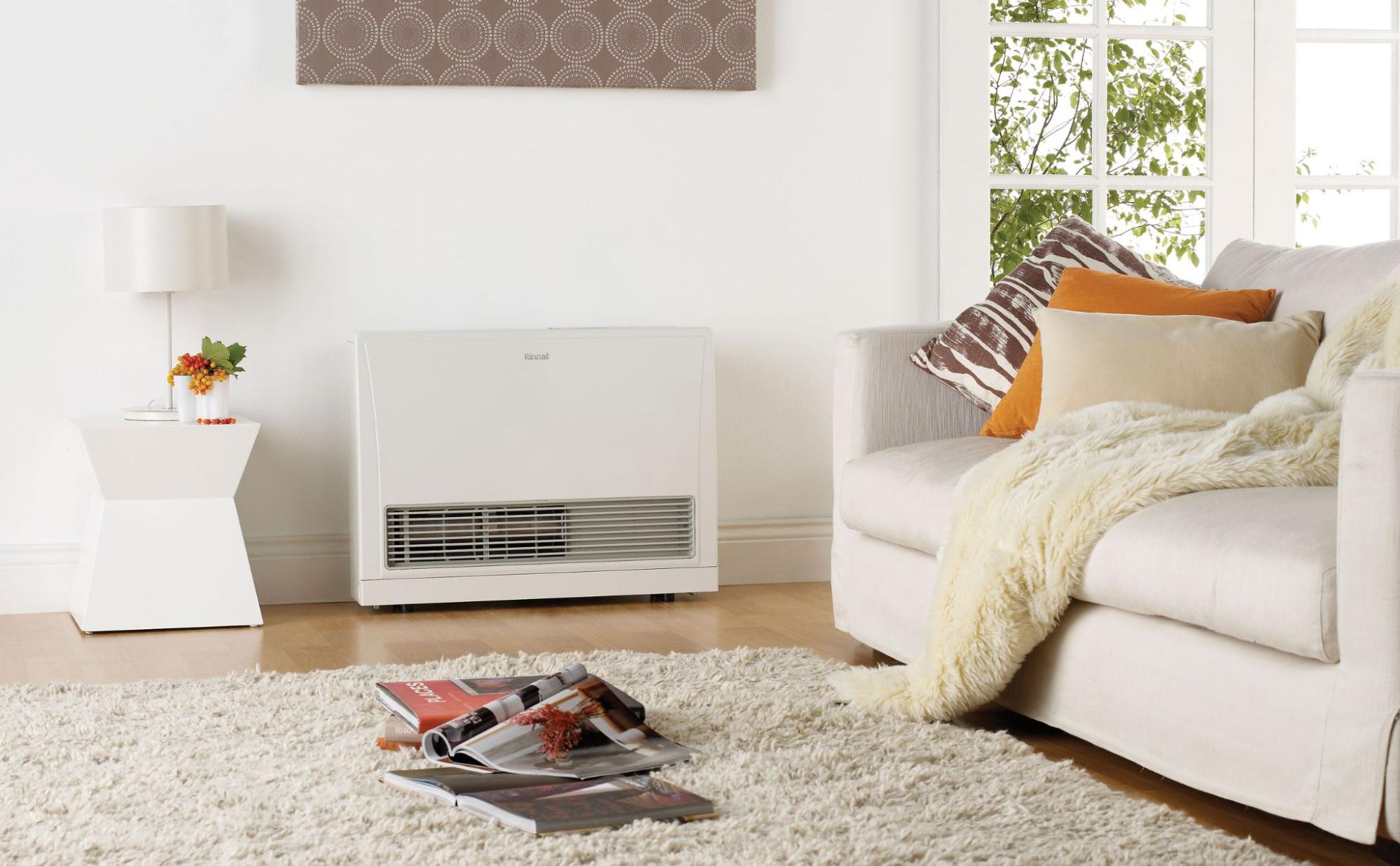 Rinnai Energy Saver Heater in room