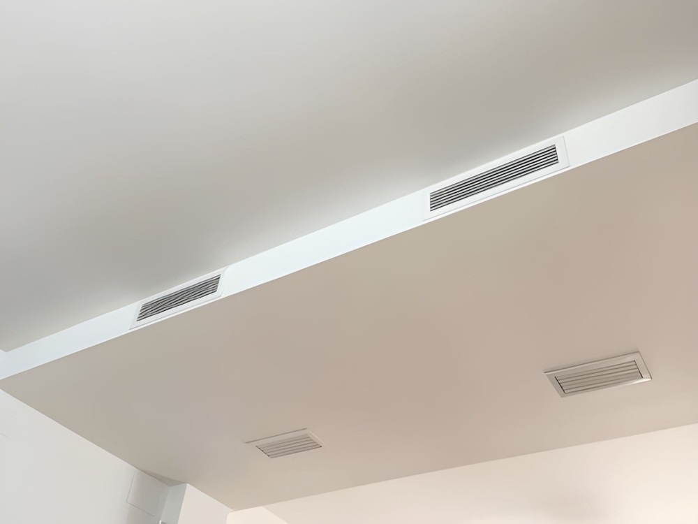 Aesthetic Preferences